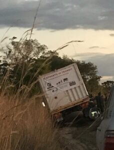 A tilted truck labeled "Elephants In Transit" on a dirt road surrounded by grass and trees.